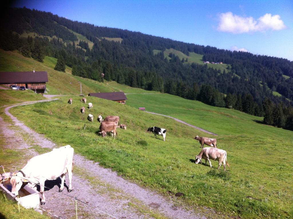 Unser Vorsaess - Klausberg Schwarzenberg Exterior photo